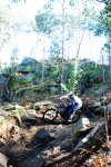 CORUJO 13-02-2010 014.jpg