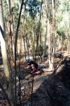 CORUJO 13-02-2010 002.jpg