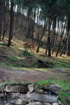 CORUJO 13-02-2010 067.jpg