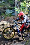 CORUJO 13-02-2010 005.jpg