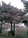 13022010(007).jpg