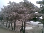 13022010(008).jpg