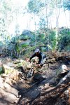 CORUJO 13-02-2010 016.jpg