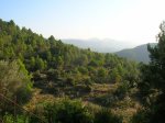 DSCN8223.JPG