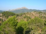 DSCN8226.JPG