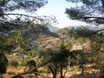 DSCN8228.JPG
