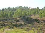 DSCN8234.JPG