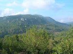 DSCN8245.JPG