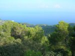 DSCN8247.JPG