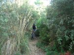 DSCN8249.JPG