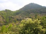 DSCN8268.JPG
