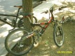 PIC_0015 (Medium).JPG