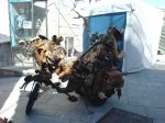 DSC00173.JPG