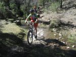 IMG_8156.jpg