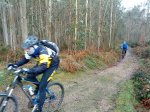 DSC00264.jpg