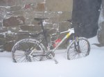 DSC02468.jpg