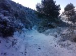 P0930_14-02-10.jpg