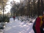 14022010_012.jpg