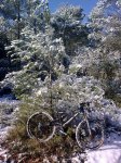 14022010_007.jpg