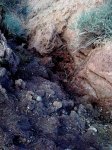 Imagen0103.jpg