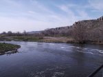 IMG_0106.jpg