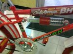 29012010044.jpg