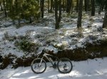 14022010117.jpg