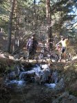 IMG_2701.jpg