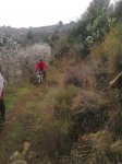 Imagen0121_1.jpg