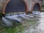 14022010158.jpg