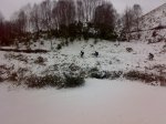 14022010244.jpg