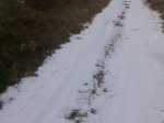Imagen015.jpg