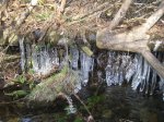 IMG_2709.jpg