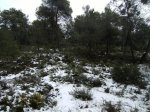sierra de mariola 010.jpg