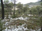 sierra de mariola 014.jpg