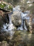 IMG_2715.jpg