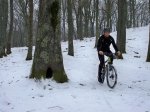 100_0393.jpg