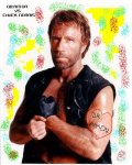 chuck-norris-002-thumb-400x498.jpg
