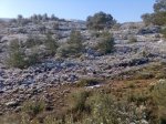 Imagen028.jpg