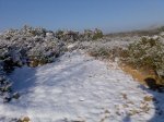 Imagen033.jpg