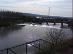 DSC00143.jpg