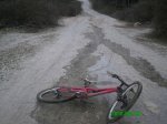 PICT0028.jpg