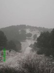 PICT0031.jpg