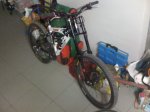 imatge 048.jpg