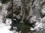 Imagen0245.jpg
