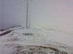 P1634_15-02-10.jpg