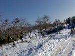 Imagen054.jpg