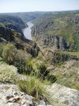 ARRIBES6.JPG