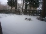 Foto1.JPG