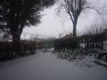 Foto3.JPG